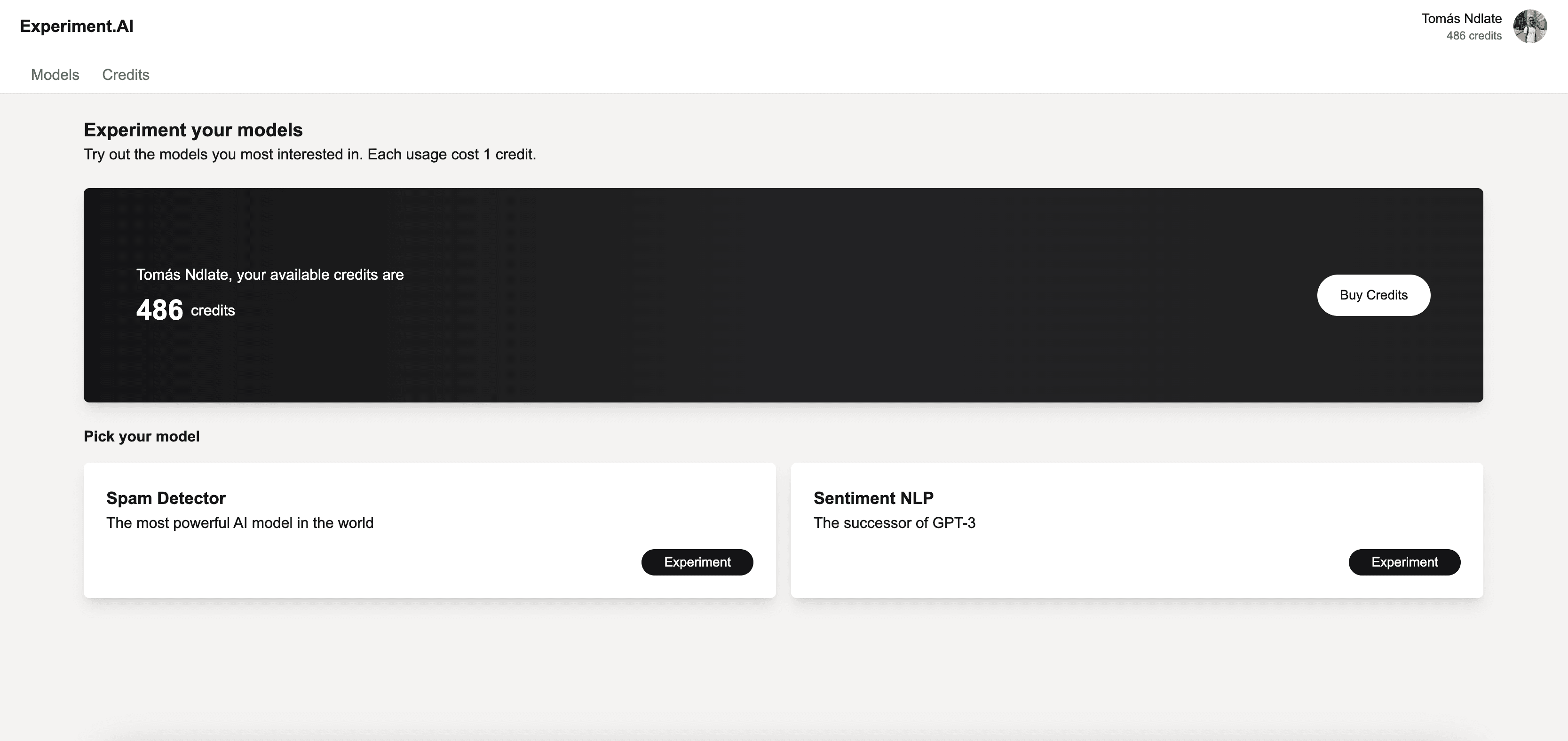 Project thumbnail for Experiment.AI